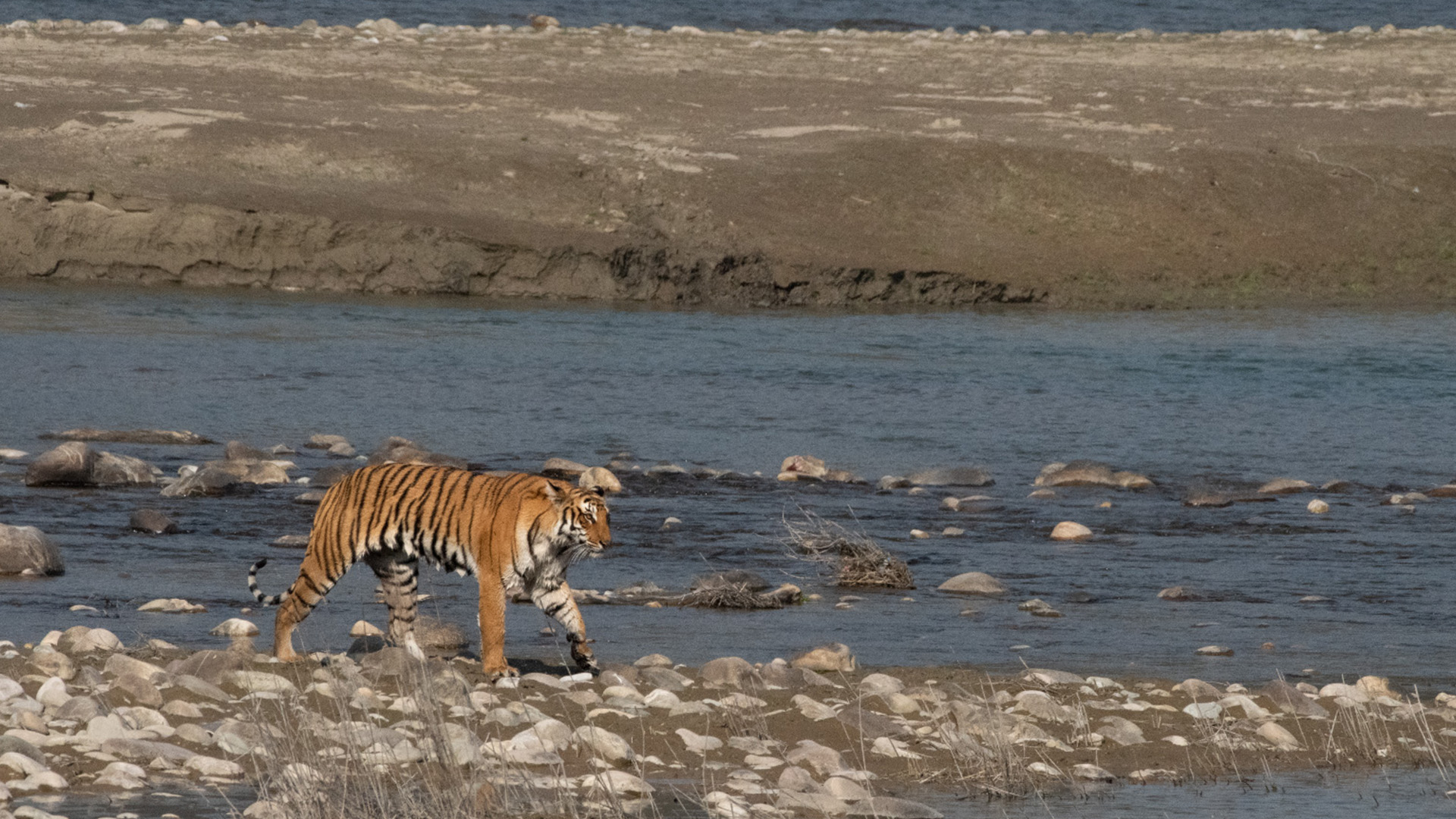 Corbett Tiger Reserve