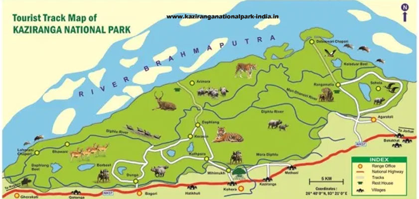 Kaziranga Tiger Reserve